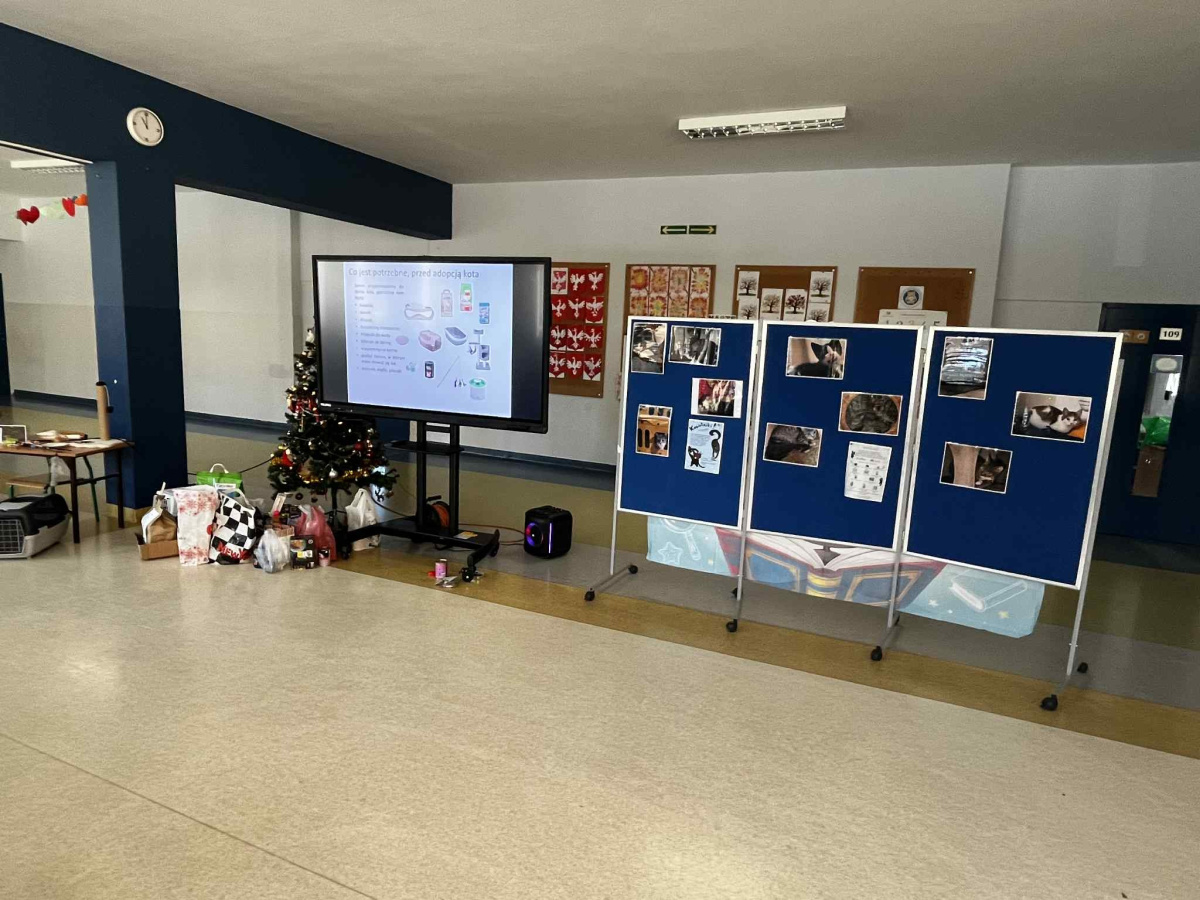 Dary dla potrzebujących zwierząt-3